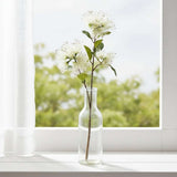 Shades 4 Seasons Protea Nitida Spray for Elegant Decor CREAM PLASTIC Shades 4 Seasons
