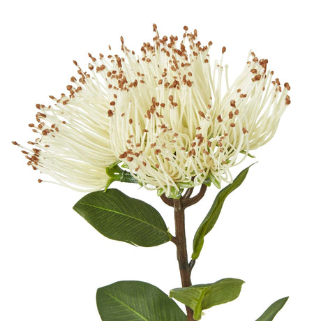 Shades 4 Seasons Protea Nitida Stem - Elegant Faux Flower Shades 4 Seasons