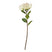 Shades 4 Seasons Protea Nitida Stem - Elegant Faux Flower CREAM PLASTIC Shades 4 Seasons