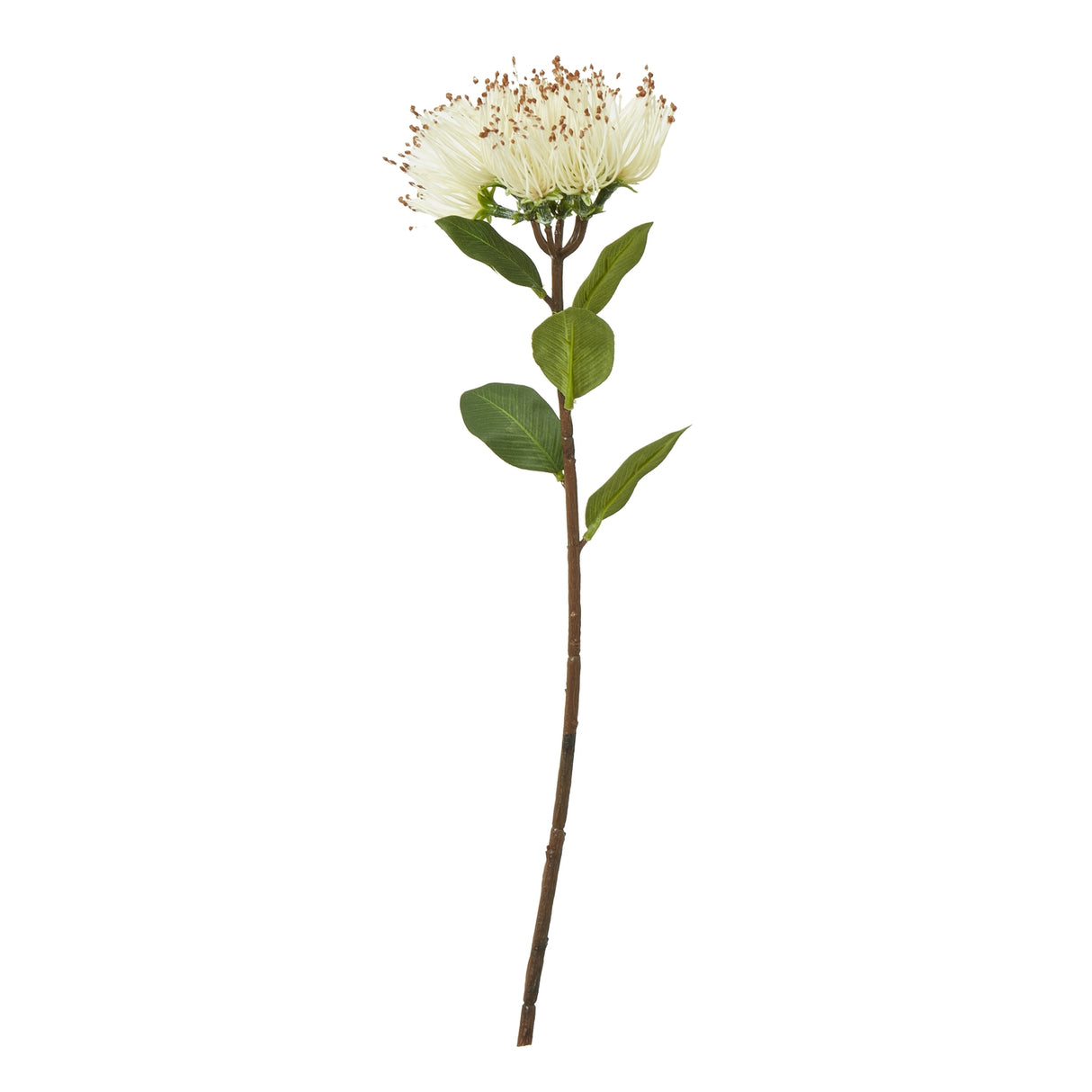Shades 4 Seasons Protea Nitida Stem - Elegant Faux Flower CREAM PLASTIC Shades 4 Seasons