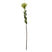 Shades 4 Seasons Protea Spray for Stylish Home Decor GREEN PLASTIC Shades 4 Seasons