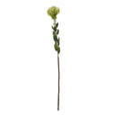 Shades 4 Seasons Protea Spray for Stylish Home Decor GREEN PLASTIC Shades 4 Seasons