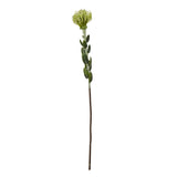 Shades 4 Seasons Protea Spray for Stylish Home Decor GREEN PLASTIC Shades 4 Seasons