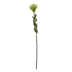 Shades 4 Seasons Protea Spray for Stylish Home Decor GREEN PLASTIC Shades 4 Seasons