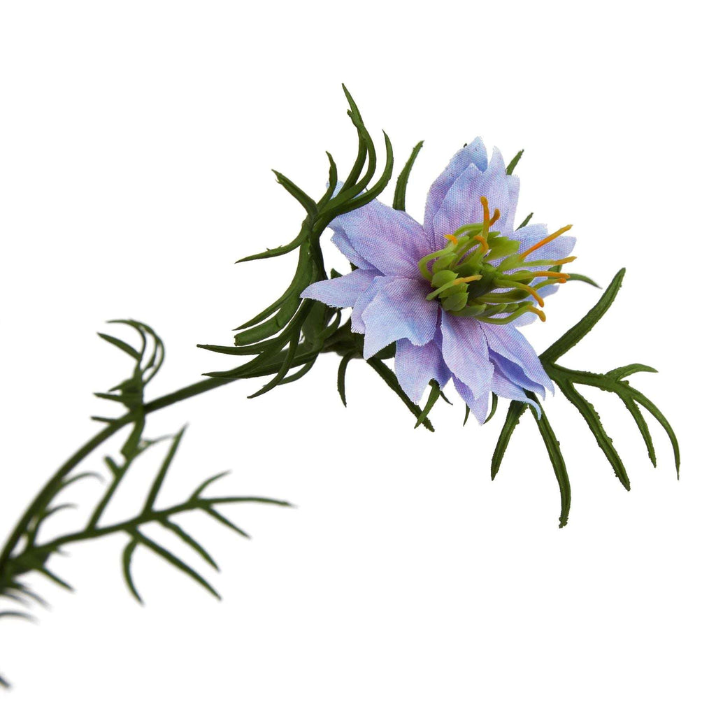 The Natural Garden Collection Purple Nigella Love In A Mist Shades 4 Seasons