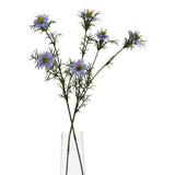 The Natural Garden Collection Purple Nigella Love In A Mist Shades 4 Seasons