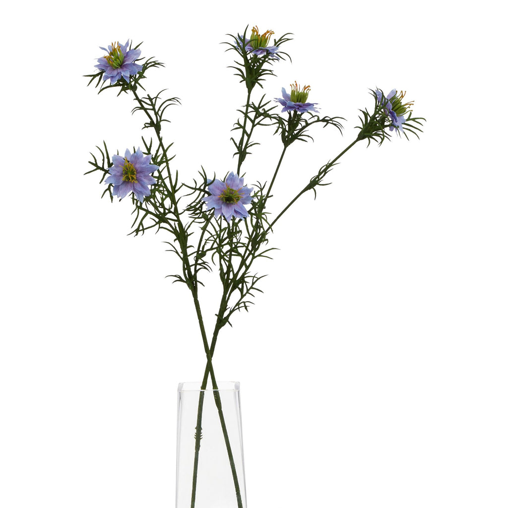 The Natural Garden Collection Purple Nigella Love In A Mist Shades 4 Seasons