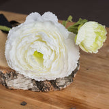 Shades 4 Seasons White Ranunculus Spray - Elegant Spring Stem Shades 4 Seasons