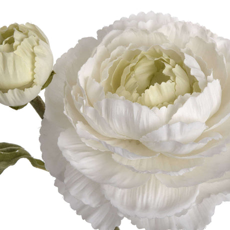 Shades 4 Seasons White Ranunculus Spray - Elegant Spring Stem Shades 4 Seasons