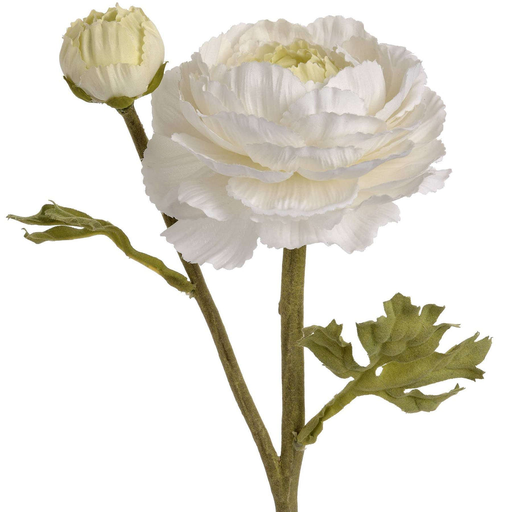 Shades 4 Seasons White Ranunculus Spray - Elegant Spring Stem Shades 4 Seasons