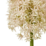 Shades 4 Seasons Allium Stem - Elegant Home Decor Shades 4 Seasons