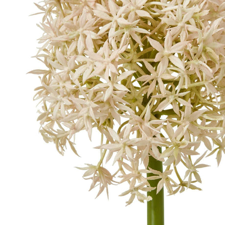 Shades 4 Seasons Allium Stem - Elegant Home Decor Shades 4 Seasons