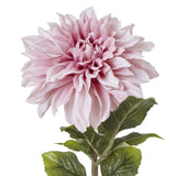 The Natural Garden Collection Pink Dahlia Shades 4 Seasons