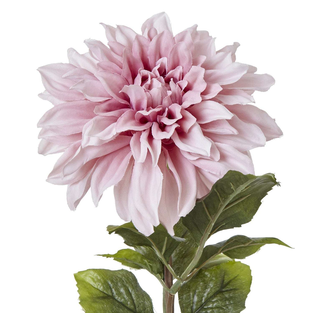 The Natural Garden Collection Pink Dahlia Shades 4 Seasons