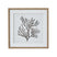 Reef Coral Art Mounted In Beaded Frame BROWN GLASS Shades 4 Seasons