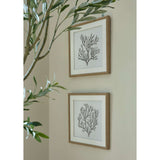 Reef Coral Art Mounted In Beaded Frame Shades 4 Seasons