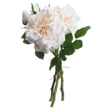 Peachy Cream Short Stem Rose Bouquet Shades 4 Seasons