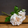 Peachy Cream Short Stem Rose Bouquet WHITE PLASTIC Shades 4 Seasons