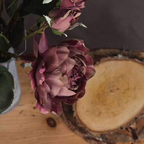 Shades 4 Seasons Rose Peony Autumn Single Stem Flower Shades 4 Seasons