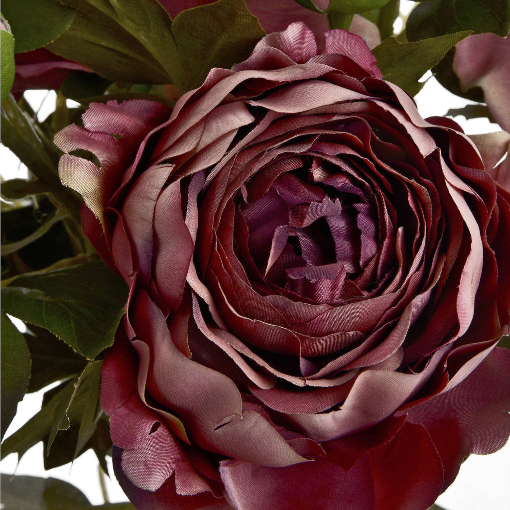 Shades 4 Seasons Rose Peony Autumn Single Stem Flower Shades 4 Seasons