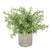 Shades 4 Seasons Artificial Rosemary Plant Decor GREEN PLASTIC Shades 4 Seasons
