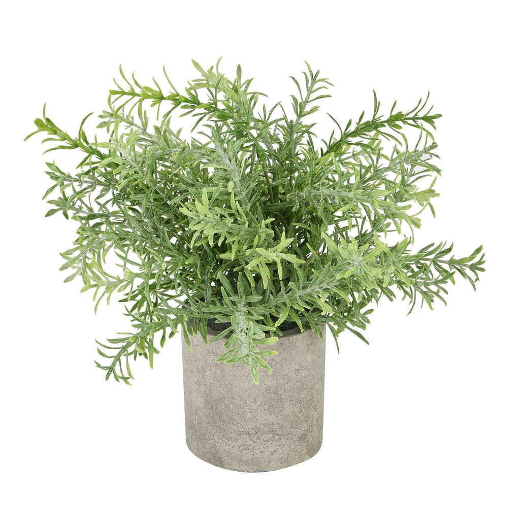 Shades 4 Seasons Artificial Rosemary Plant Decor GREEN PLASTIC Shades 4 Seasons