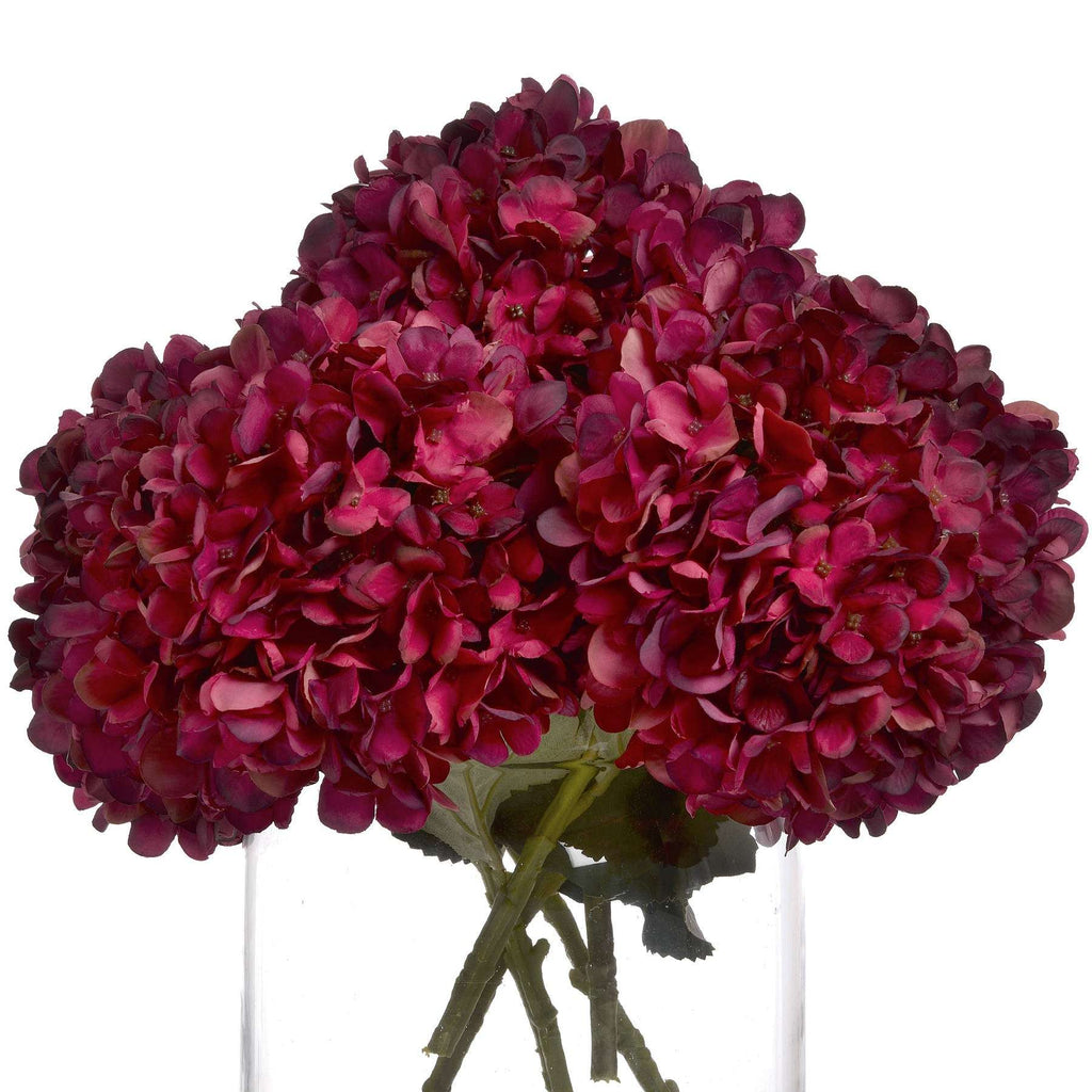 Shades 4 Seasons Ruby Hydrangea Single Stem Flower Shades 4 Seasons