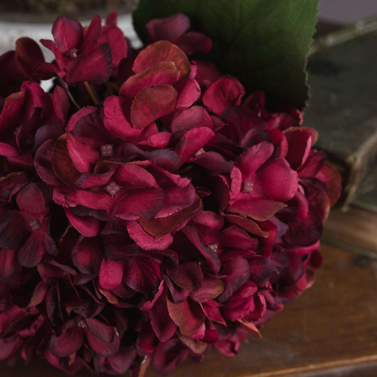 Shades 4 Seasons Ruby Hydrangea Single Stem Flower Shades 4 Seasons