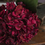 Shades 4 Seasons Ruby Hydrangea Single Stem Flower Shades 4 Seasons