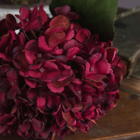 Shades 4 Seasons Ruby Hydrangea Single Stem Flower Shades 4 Seasons