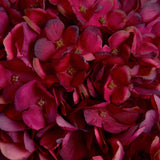 Shades 4 Seasons Ruby Hydrangea Single Stem Flower Shades 4 Seasons