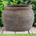 Siena Brown Diameter Rimmed Plant Pot BROWN CERAMIC Shades 4 Seasons