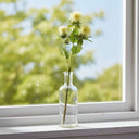Shades 4 Seasons Safflower Spray for Stylish Decor CREAM PLASTIC Shades 4 Seasons