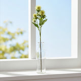 Shades 4 Seasons Safflower Spray for Stylish Decor GREEN PLASTIC Shades 4 Seasons