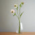 The Natural Garden Collection Pale Pink Scabious Stem PINK PLASTIC Shades 4 Seasons