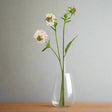 The Natural Garden Collection Pale Pink Scabious Stem PINK PLASTIC Shades 4 Seasons