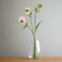 The Natural Garden Collection Pale Pink Scabious Stem PINK PLASTIC Shades 4 Seasons