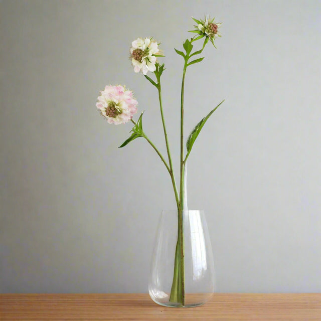 The Natural Garden Collection Pale Pink Scabious Stem PINK PLASTIC Shades 4 Seasons
