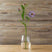 The Natural Garden Collection Purple Scabious Stem PURPLE PLASTIC Shades 4 Seasons