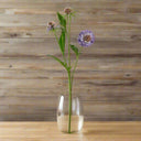 The Natural Garden Collection Purple Scabious Stem PURPLE PLASTIC Shades 4 Seasons