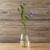 The Natural Garden Collection Purple Scabious Stem PURPLE PLASTIC Shades 4 Seasons