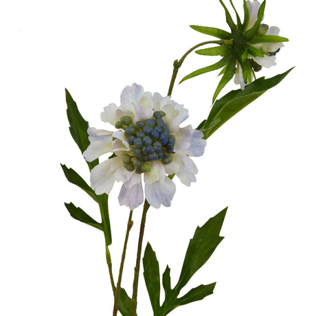 Scabious Stem - Elegant Spring Floral Accent by Shades 4 Seasons Shades 4 Seasons