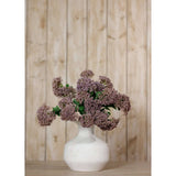 Shades 4 Seasons Sedum Spray for Stylish Home Decor Shades 4 Seasons