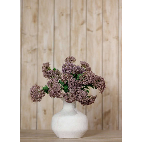Shades 4 Seasons Sedum Spray for Stylish Home Decor Shades 4 Seasons