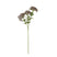 Shades 4 Seasons Sedum Spray for Stylish Home Decor PURPLE PLASTIC Shades 4 Seasons