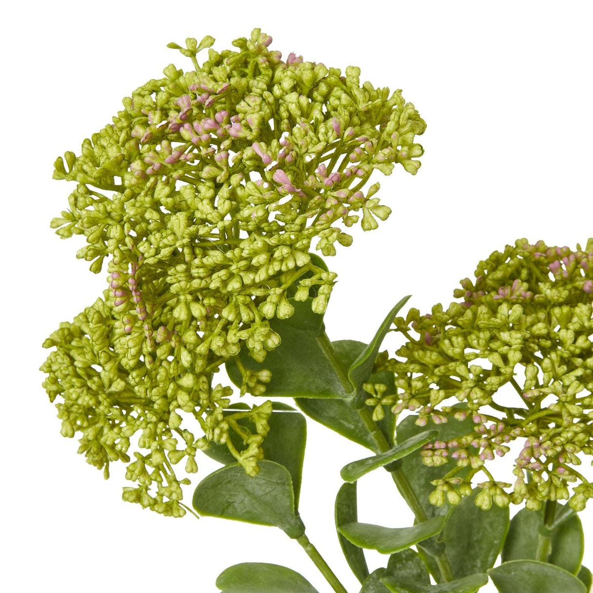 Shades 4 Seasons Sedum Spray for Elegant Home Decor Shades 4 Seasons