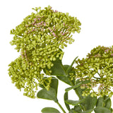 Shades 4 Seasons Sedum Spray for Elegant Home Decor Shades 4 Seasons