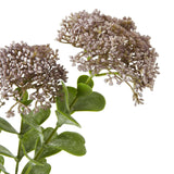 Shades 4 Seasons Sedum Spray for Stylish Home Decor Shades 4 Seasons