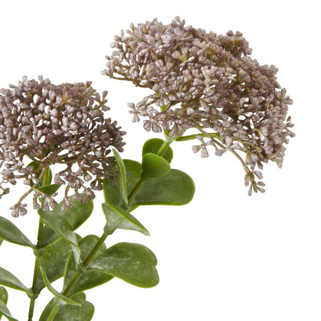 Shades 4 Seasons Sedum Spray for Stylish Home Decor Shades 4 Seasons