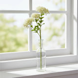 Shades 4 Seasons Sedum Spray for Elegant Home Decor CREAM PLASTIC Shades 4 Seasons